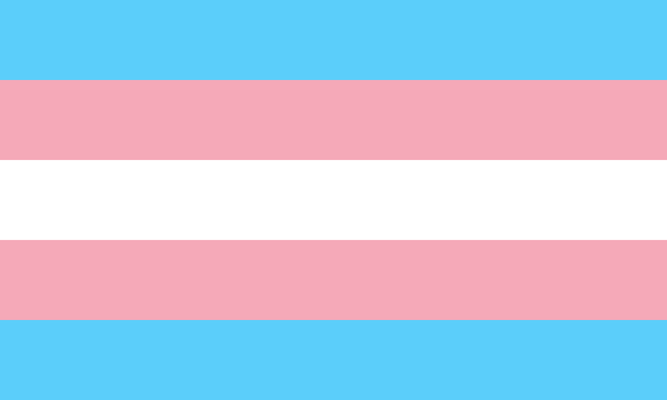 Trans Queer Identity